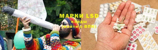 PSILOCYBIN Балахна