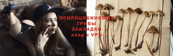 PSILOCYBIN Балахна