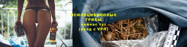 а пвп мука Балабаново