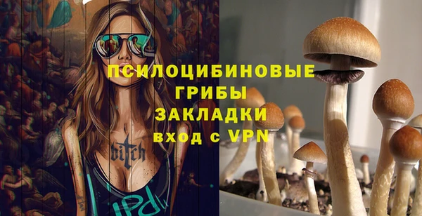 PSILOCYBIN Балахна